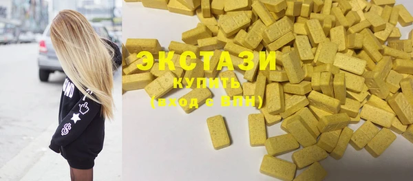 индика Арсеньев