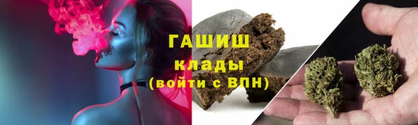 индика Арсеньев