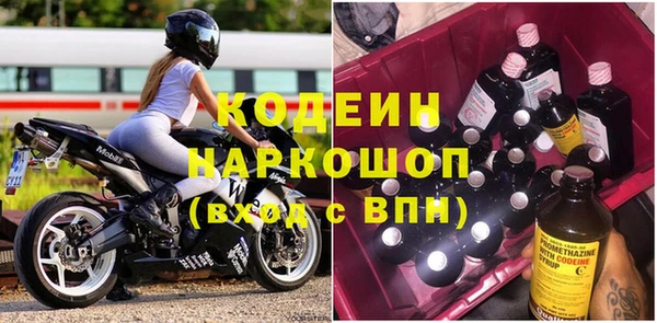 индика Арсеньев
