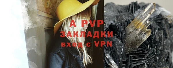 индика Арсеньев
