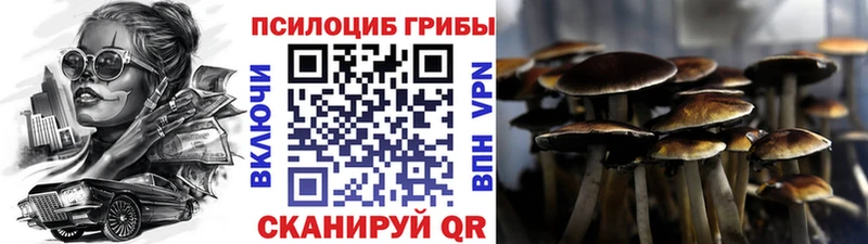 Псилоцибиновые грибы MAGIC MUSHROOMS  omg как зайти  Междуреченск 